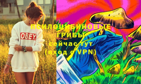 Альфа ПВП Абдулино