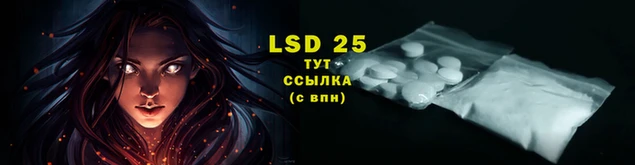дмт Надым
