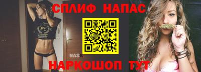 прущие грибы Моздок