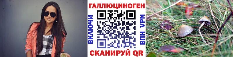 Псилоцибиновые грибы Cubensis  KRAKEN ТОР  Саратов 